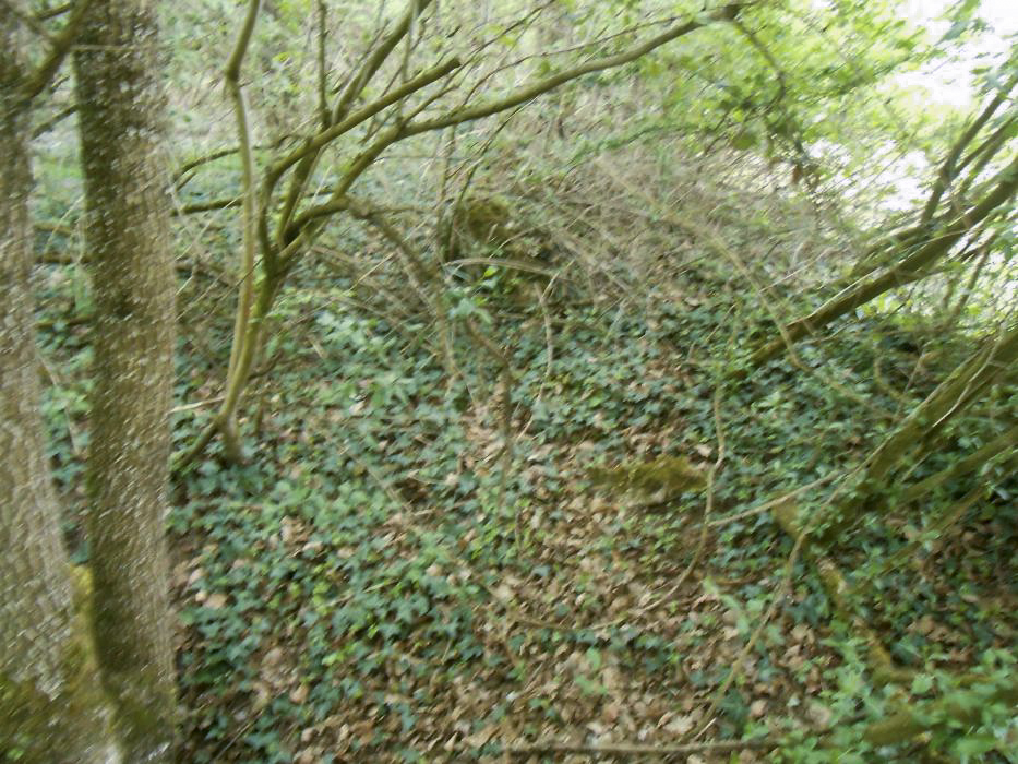 Ligne Maginot - HETTENSCHLAG 5 - (Blockhaus pour arme infanterie) - L'emplacement de la coupole - 42RIF