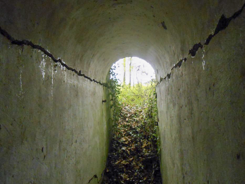 Ligne Maginot - HETTENSCHLAG 4 - (Blockhaus pour arme infanterie) - L'une des entrées - 42RIF