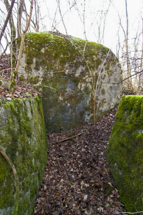 Ligne Maginot - KASTENWALD (QUARTIER NEUF-BRISACH - 1°BON 28° RIF) - (PC de Quartier) - Entrée originalle de l'abri - Les Gardiens du Rhin