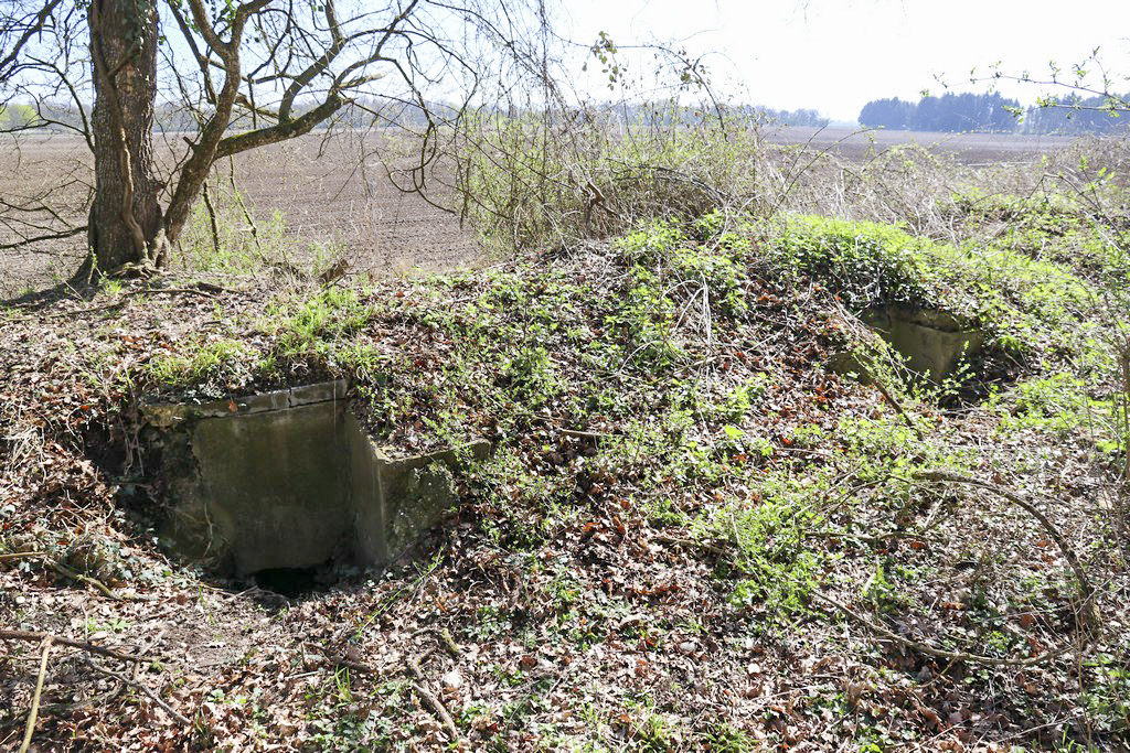 Ligne Maginot - LANGZUG 3 - (Blockhaus pour arme infanterie) - Les deux entrées - Alain Perouffe