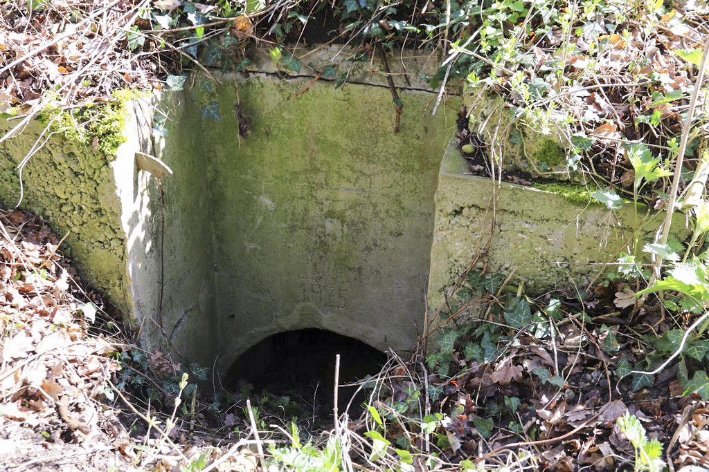 Ligne Maginot - LANGZUG 3 - (Blockhaus pour arme infanterie) - Entrée sud - Alain Perouffe