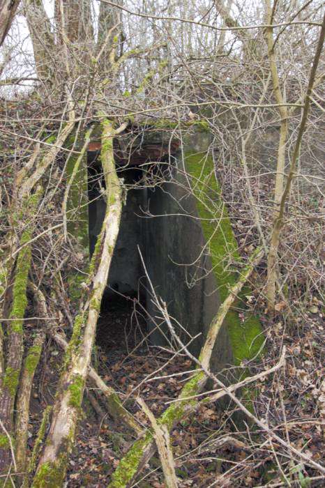 Ligne Maginot - LANGER ZUG 1 (Abri) - Entrée d'un premier abri annexe - Les Gardiens du Rhin