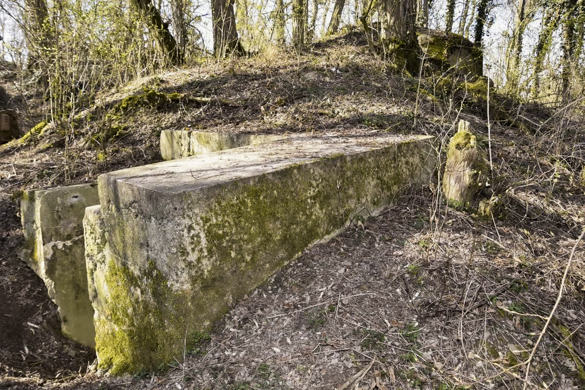 Ligne Maginot - OBERSAASHEIM OUVRAGE 1 - (Blockhaus pour arme infanterie) - Entrée est - D.Froehly