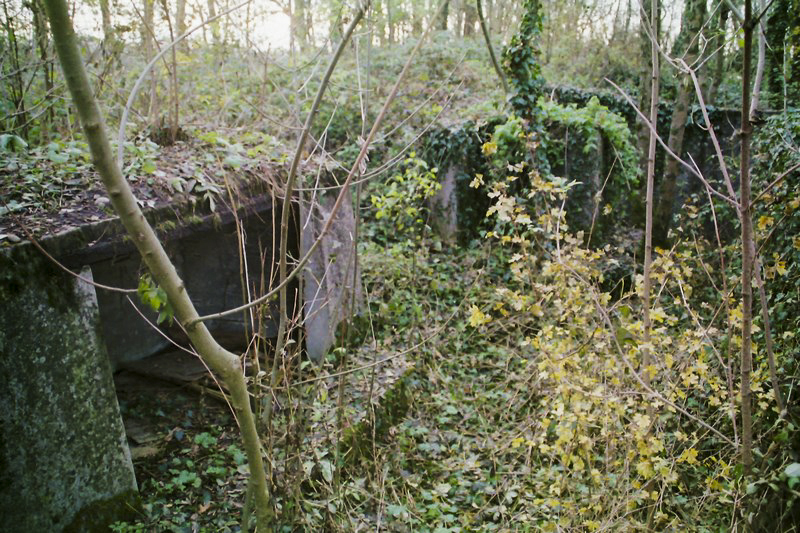 Ligne Maginot - OBERSAASHEIM EST 4 - (Blockhaus pour arme infanterie) - La tranchée bétonnée allemande a proximité, facilement utilisable - Alain Perouffe