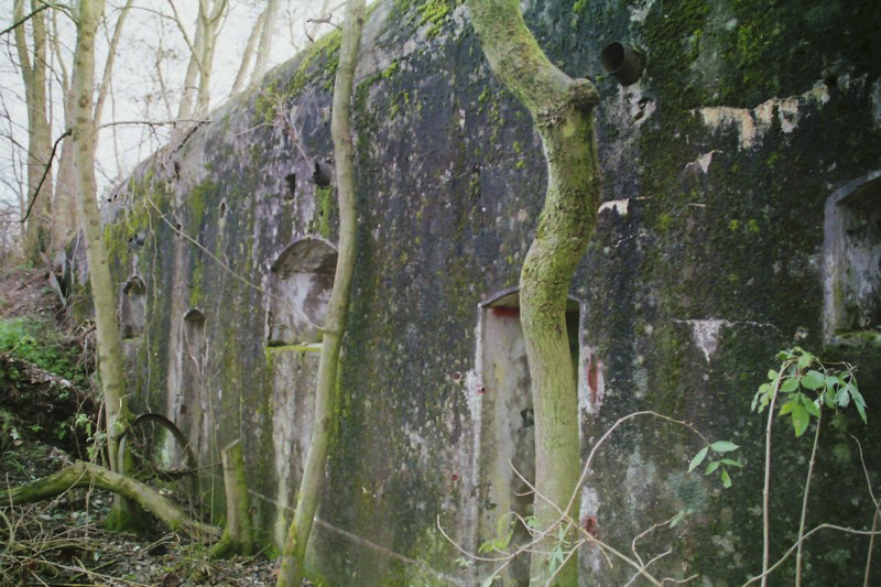 Ligne Maginot - OBERSAASHEIM EST - (Abri) -  - Alain Perouffe