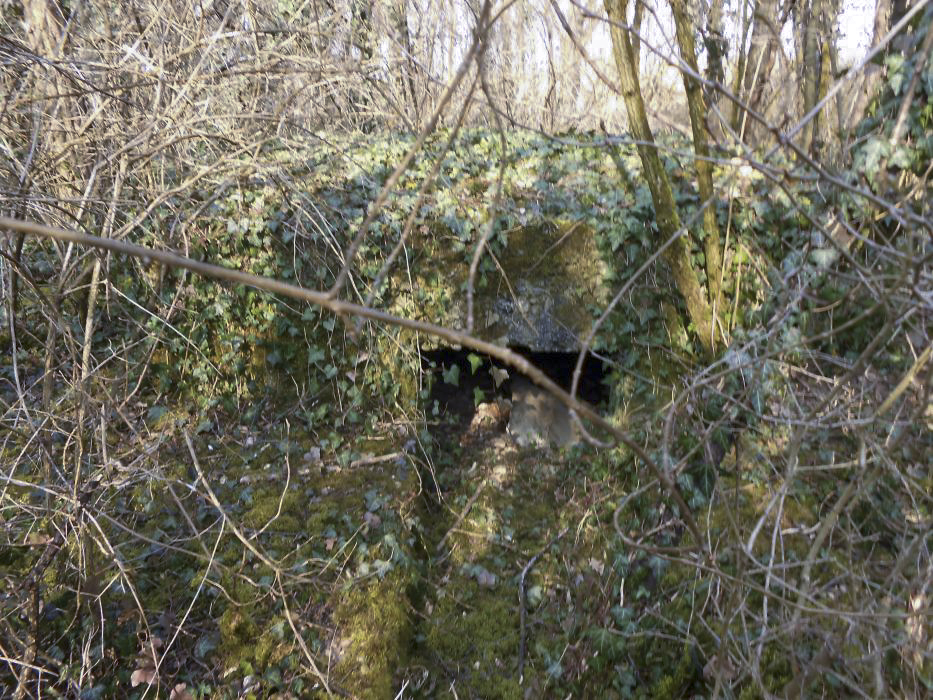 Ligne Maginot - OBERFELD - (Poste de Secours) -  - 42RIF