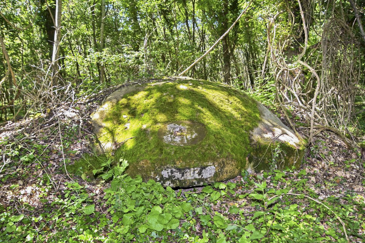 Ligne Maginot - OBERWALD EST SUD - (Blockhaus pour arme infanterie) - Coupole avec les cartouches '5 Cie et 7 Cie du 15-2' ainsi que le Diable rouge - Daniel Froehly