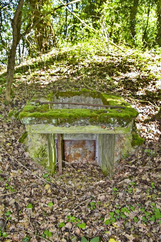 Ligne Maginot - OBERWALD EST SUD - (Blockhaus pour arme infanterie) - Entrée Nord - Daniel Froehly