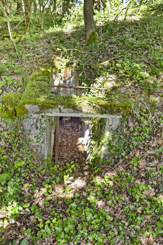 Ligne Maginot - OBERWALD EST SUD - (Blockhaus pour arme infanterie) - Entrée Sud - Daniel Froehly