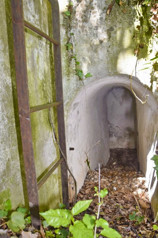 Ligne Maginot - OBERWALD EST SUD - (Blockhaus pour arme infanterie) - Entrée Sud - Daniel Froehly