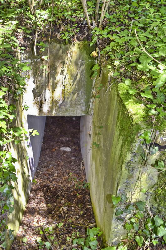 Ligne Maginot - OBERWALD EST CENTRE - (Blockhaus pour arme infanterie) - Entrée sud/ouest - Daniel Froehly