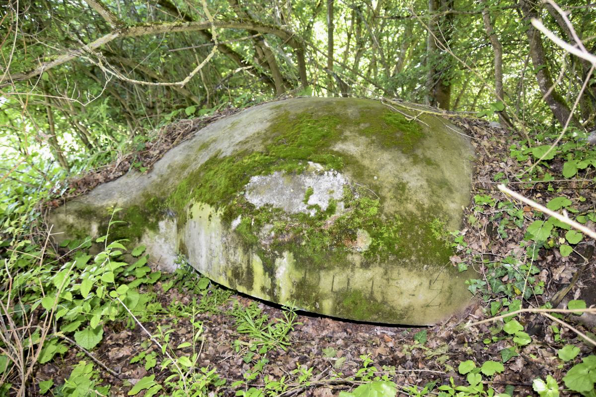Ligne Maginot - OBERWALD EST CENTRE - (Blockhaus pour arme infanterie) - Coupole et les cartouches - Daniel Froehly