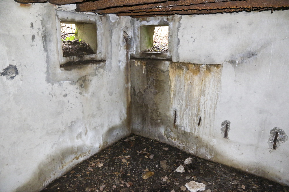 Ligne Maginot - OBERWALD - (Abri) -  - Alain Perouffe