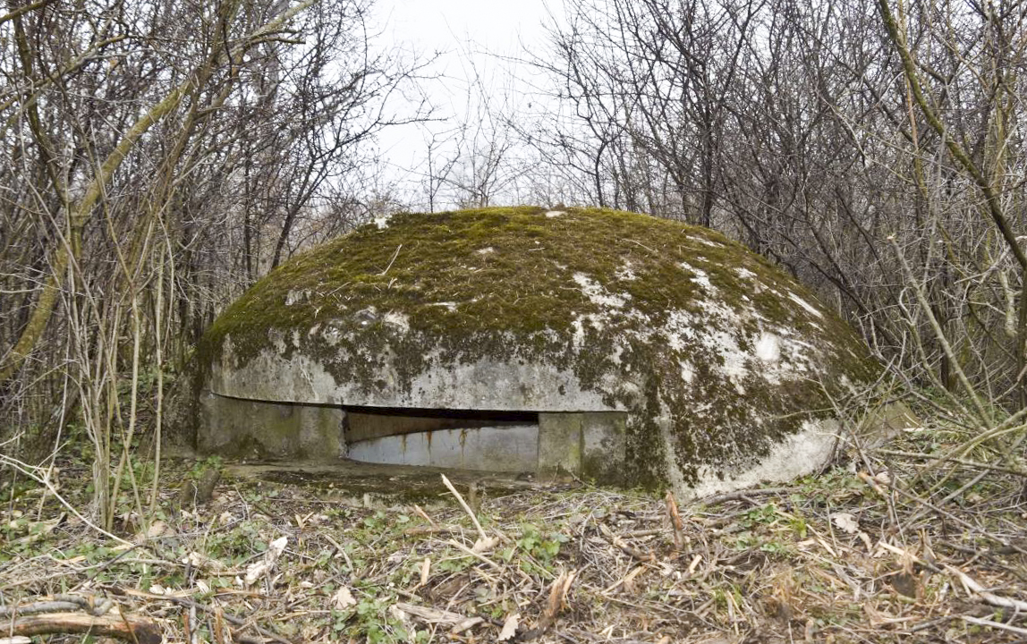 Ligne Maginot - OBERWALD SUD EST 1 - (Blockhaus pour arme infanterie) - Coupole 7° RM - D.Froehly