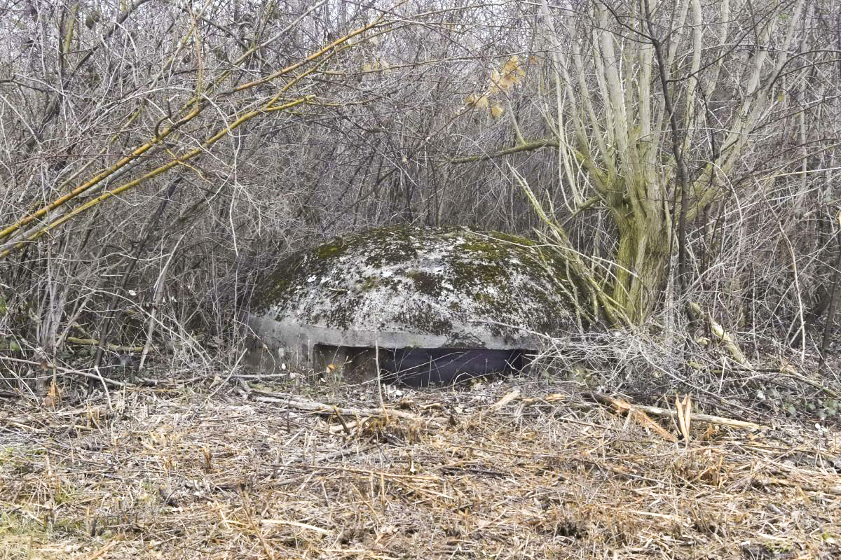 Ligne Maginot - OBERWALD SUD EST 2 - (Blockhaus pour arme infanterie) - Coupole - D.Froehly