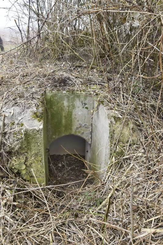 Ligne Maginot - OBERWALD SUD EST 2 - (Blockhaus pour arme infanterie) - L'entrée - D.Froehly