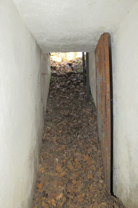 Ligne Maginot - OBERWALD SUD NORD-EST - (Blockhaus pour arme infanterie) -  - Les Gardiens du Rhin