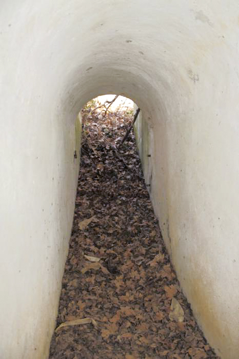 Ligne Maginot - OBERWALD SUD EST - (Blockhaus pour arme infanterie) - Vue intérieure - Les Gardiens du Rhin