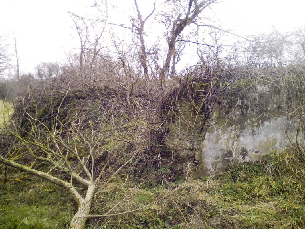 Ligne Maginot - THIERBACH 2 - (Blockhaus de type indéterminé) - Vue d'ensemble. - Nicolas MULLER
