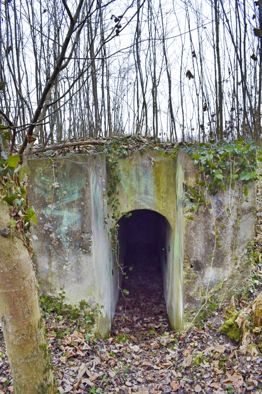 Ligne Maginot - STOCKACKER 2 - (Blockhaus pour arme infanterie) - L'entrée - Daniel Froehly