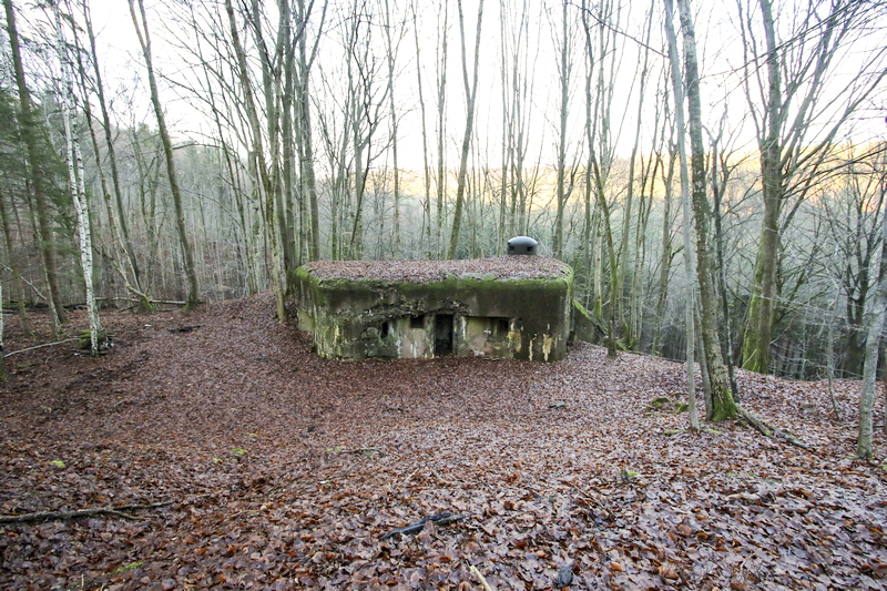 Ligne Maginot - MARKBACH - (Blockhaus pour arme infanterie) - Vue sur l'entrée - GRUBER Franck