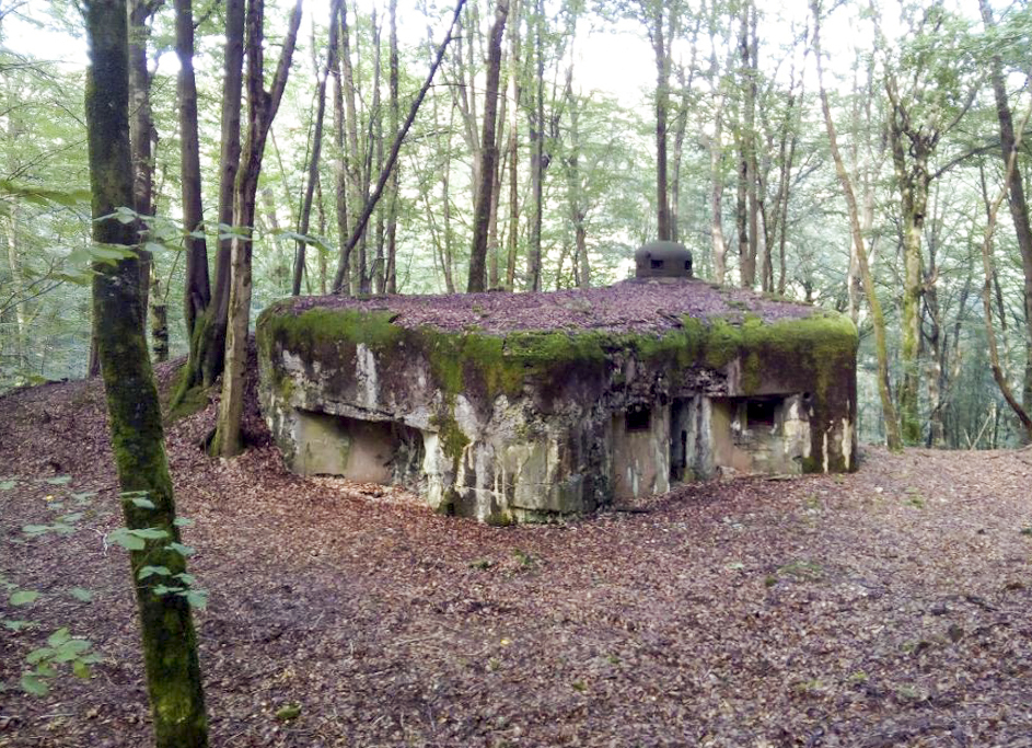 Ligne Maginot - MARKBACH - (Blockhaus pour arme infanterie) - Vue sur l'entrée - donceuh