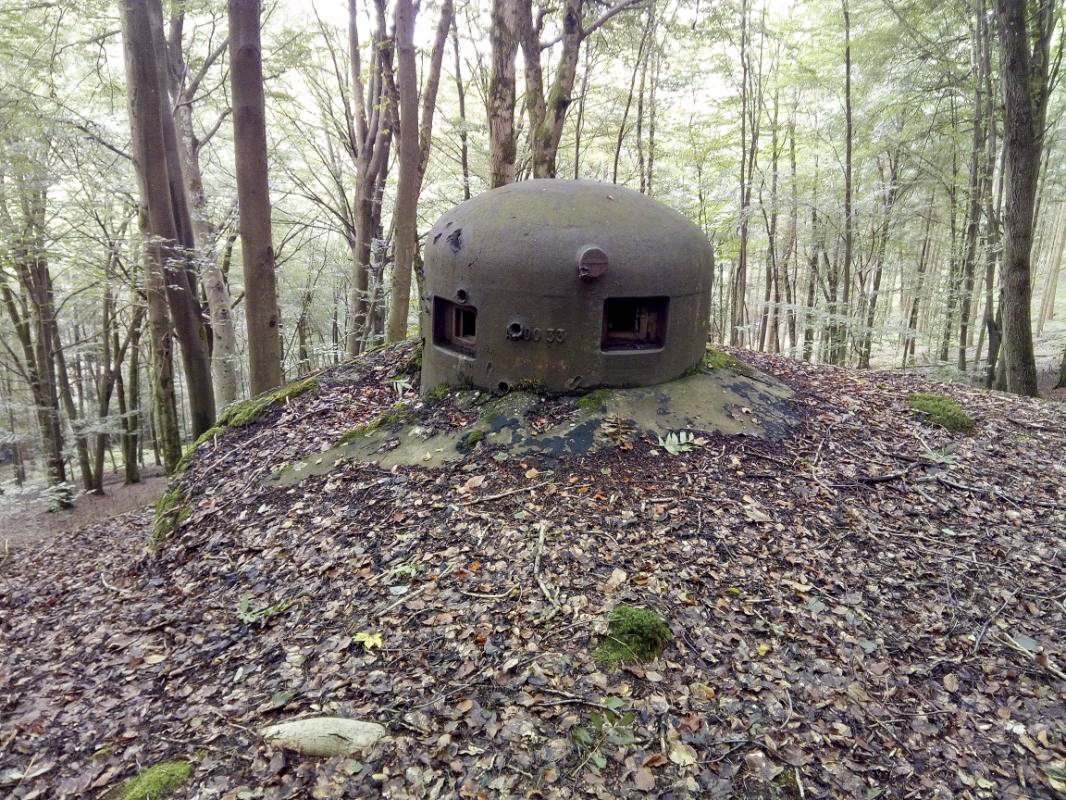 Ligne Maginot - MARKBACH - (Blockhaus pour arme infanterie) - Cloche GFM - donceuh