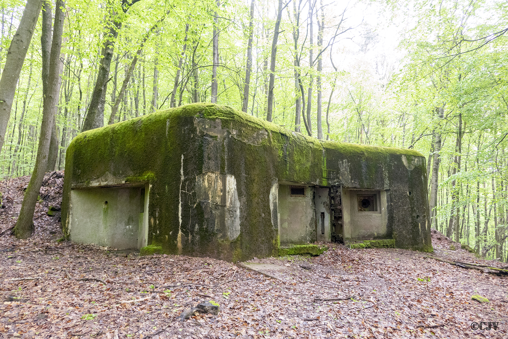 Ligne Maginot - VERRERIE - (Blockhaus pour arme infanterie) -  - Lia VERMEULEN
