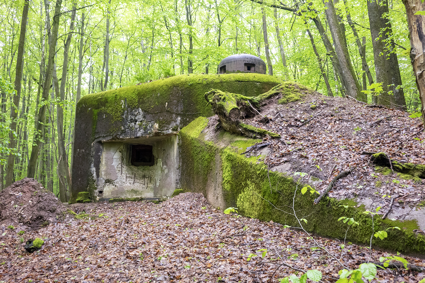 Ligne Maginot - VERRERIE - (Blockhaus pour arme infanterie) -  - Lia VERMEULEN