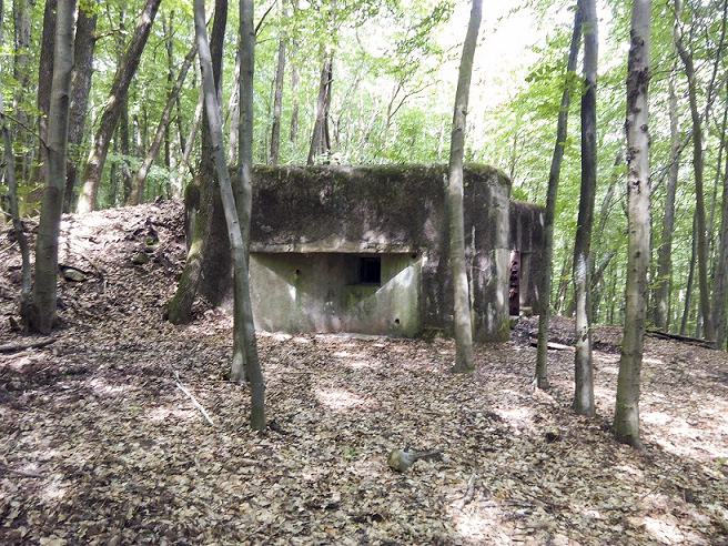 Ligne Maginot - VERRERIE - (Blockhaus pour arme infanterie) -  - donceuh
