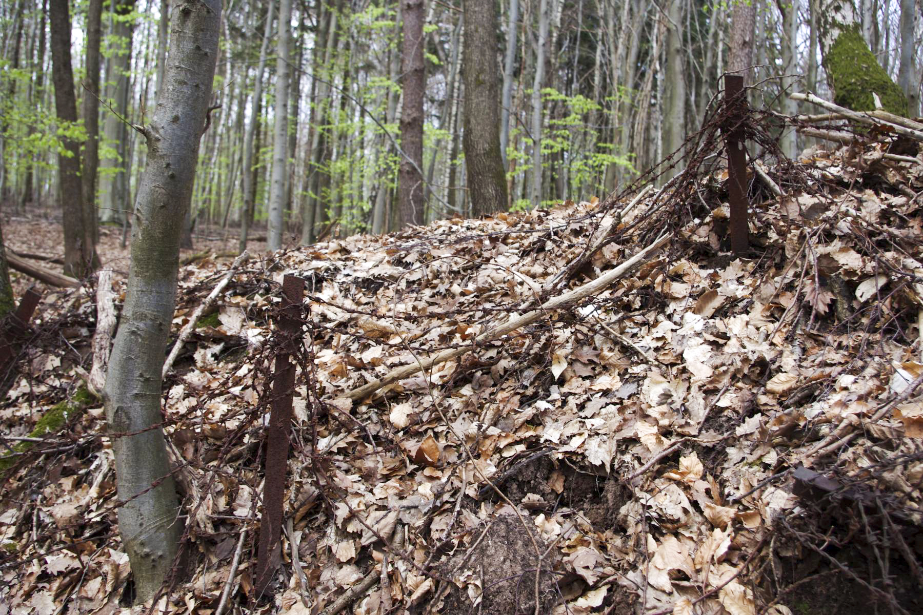 Ligne Maginot - VERRERIE - (Blockhaus pour arme infanterie) -  - STENGER Mathieu