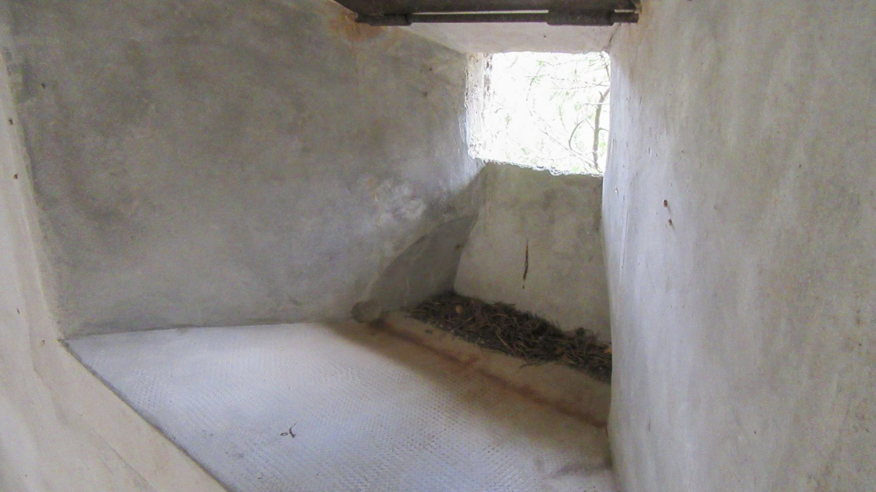 Ligne Maginot - CLOT DU POIN 1 - (Blockhaus pour arme infanterie) - Autre créneau coté vallée de la Clarée avec le panneau métallique relevé - Jean Berthier