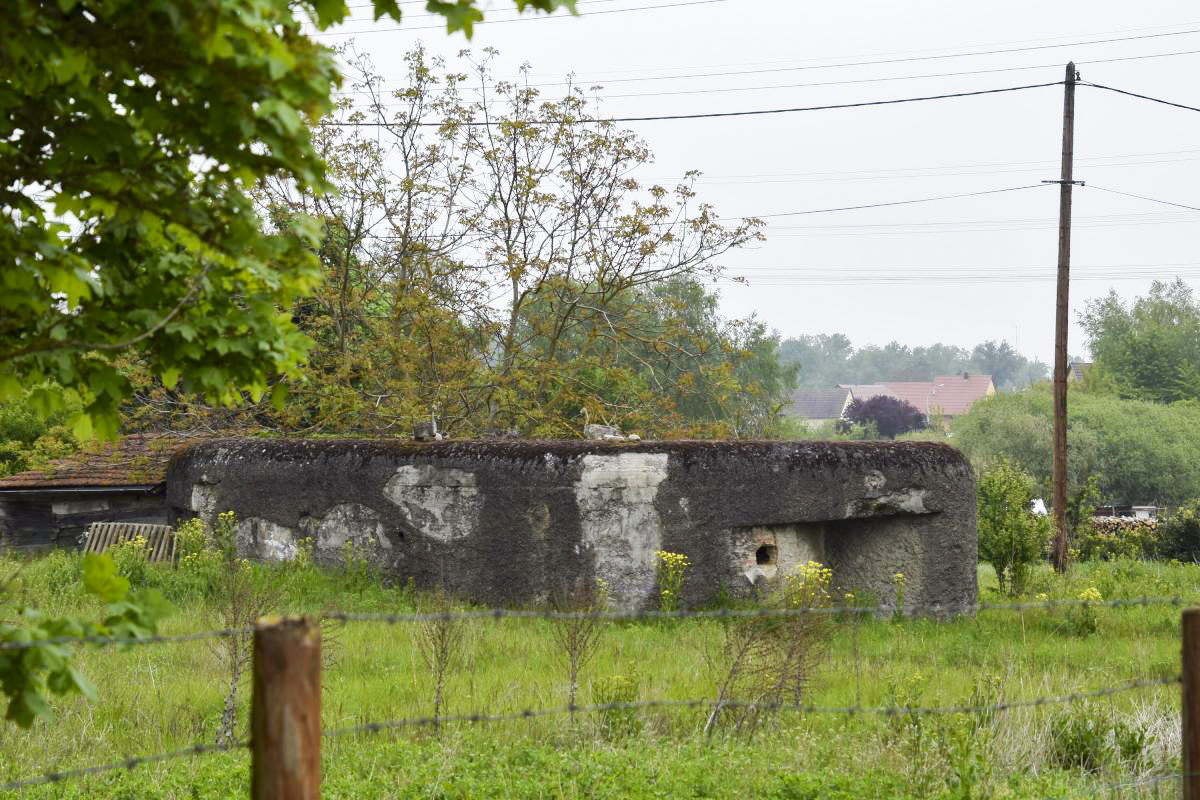 Ligne Maginot - VOGELSHEIM NORD - (Blockhaus pour arme infanterie) -  - Daniel Froehly
