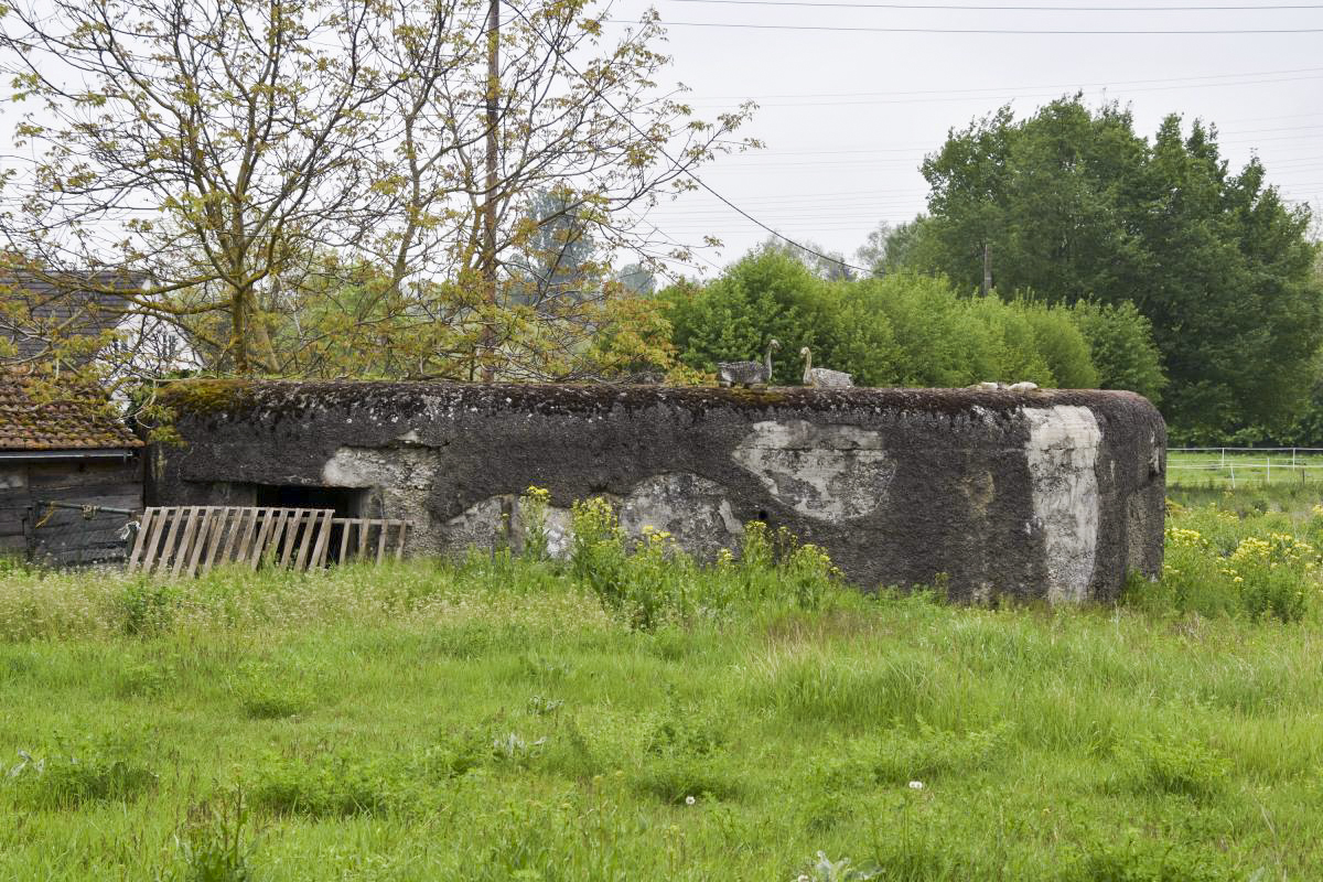 Ligne Maginot - VOGELSHEIM NORD - (Blockhaus pour arme infanterie) -  - Daniel Froehly