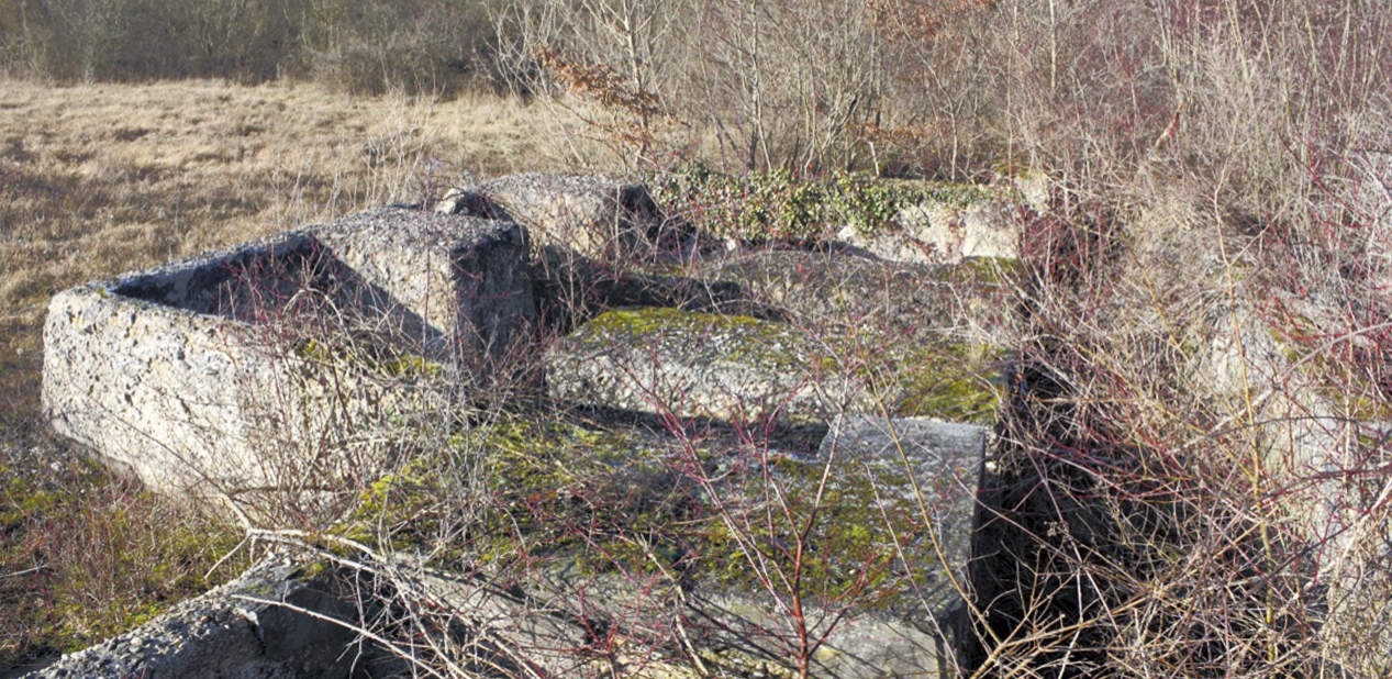 Ligne Maginot - WOLFGANTZEN - (Stand de tir) - Stand pour le lancé de grenades probablement d'origine allemande - Les Gardiens du Rhin