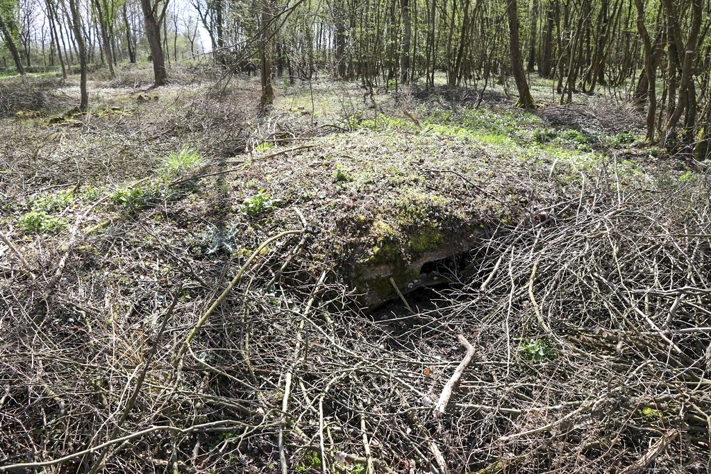 Ligne Maginot - WOLFGANTZEN NORD OUEST 5 - (Abri) - Face ouest entrée - Alain Perouffe