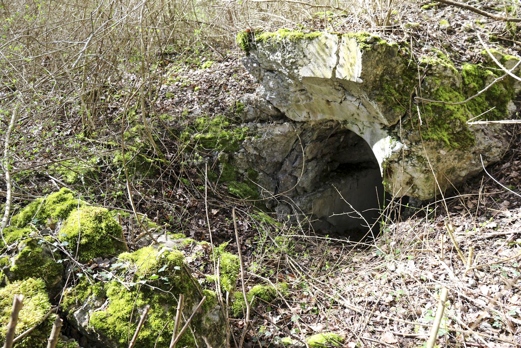 Ligne Maginot - WOLFGANTZEN NORD OUEST 3 - (Blockhaus pour arme infanterie) - Les restes de la coupole - Alain Perouffe