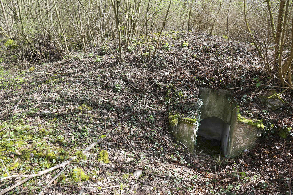Ligne Maginot - WOLFGANTZEN NORD OUEST 3 - (Blockhaus pour arme infanterie) - Massif du bloc. Entrée sud - Alain Perouffe