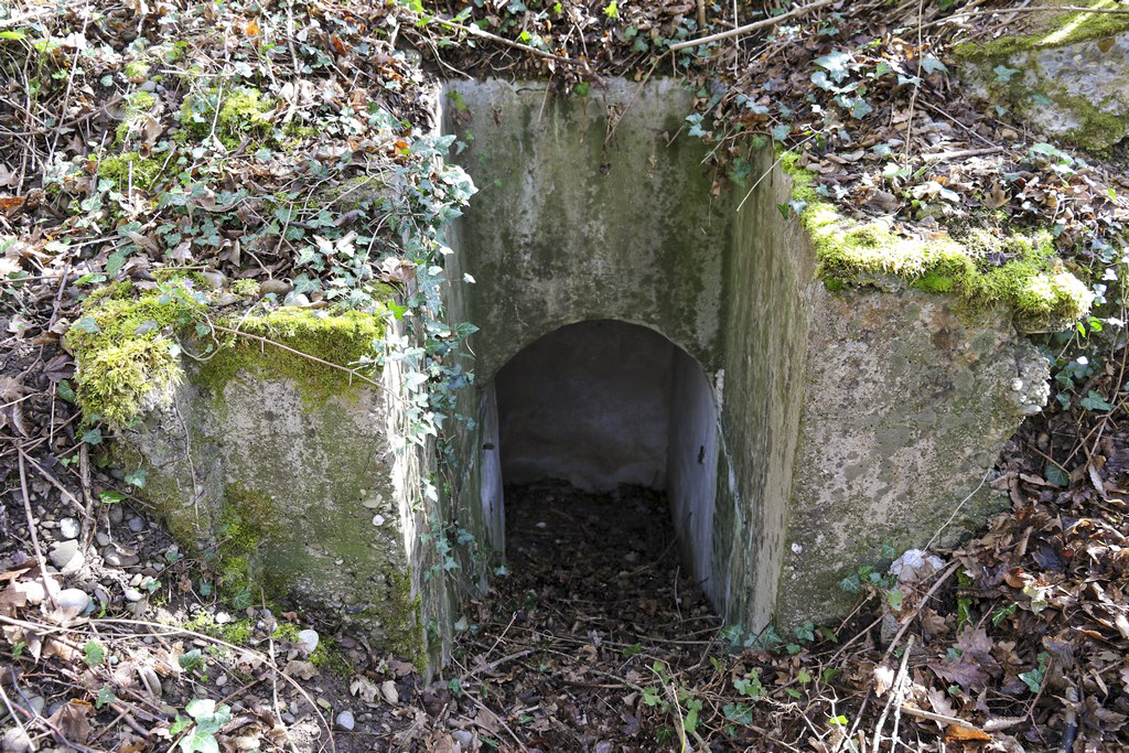 Ligne Maginot - WOLFGANTZEN NORD OUEST 3 - (Blockhaus pour arme infanterie) - Entrée sud - Alain Perouffe