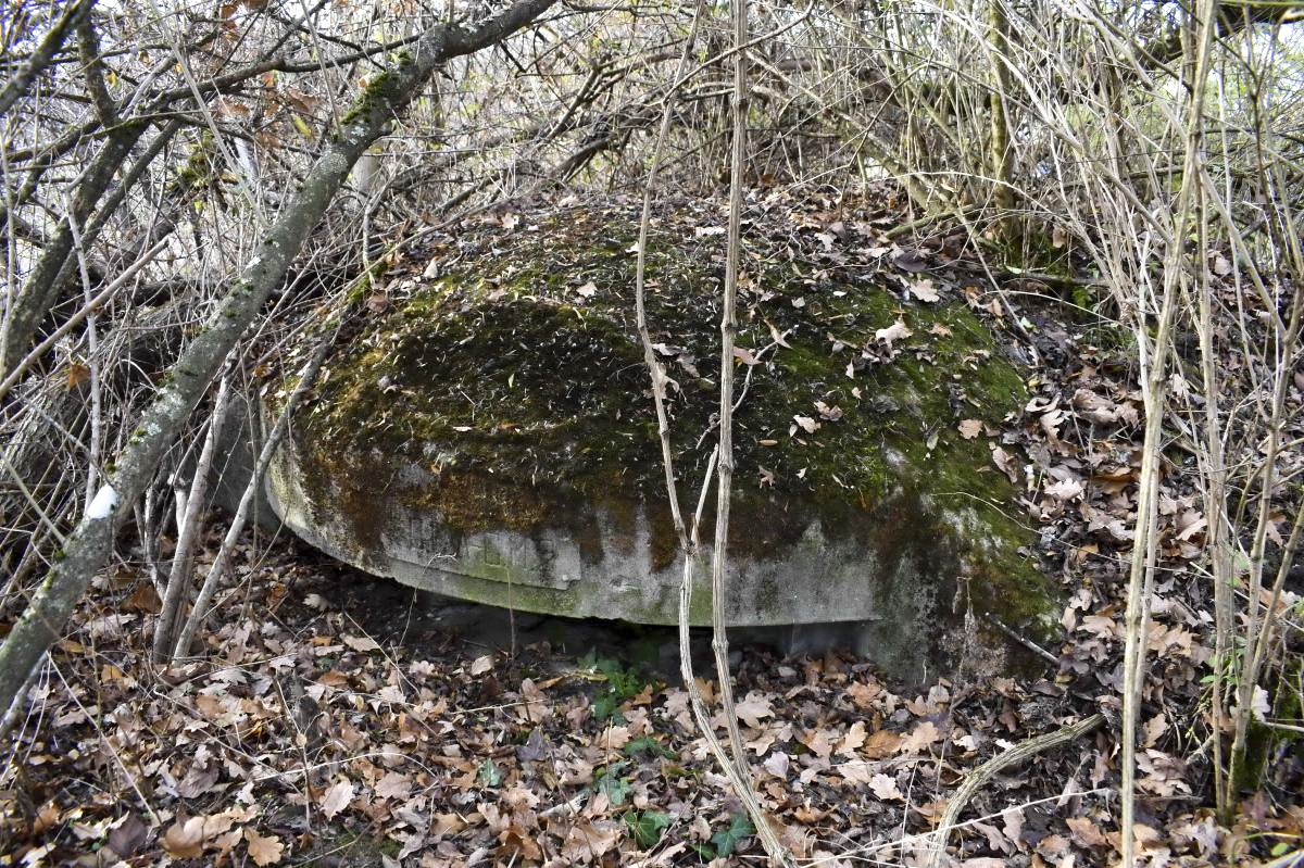 Ligne Maginot - WOLFGANTZEN NORD OUEST 1 - (Blockhaus pour arme infanterie) - Coupole - D. Froehly