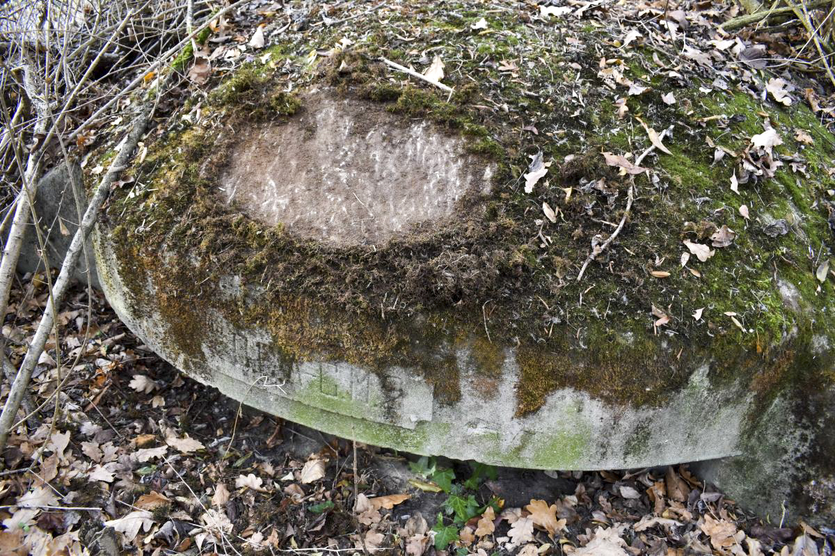 Ligne Maginot - WOLFGANTZEN NORD OUEST 1 - (Blockhaus pour arme infanterie) - Cartouche sur la coupole - D. Froehly
