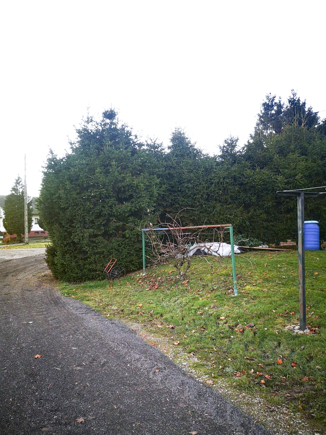 Ligne Maginot - W1 - (Chambre de coupure) - La chambre de coupure se trouvait juste derrière la haie. 
Elle a aujourd'hui disparu, ensevelie. Elle se trouve au bout d'un jardin, dans une propriété privée.
Photo faite avec l'autorisation de la propriétaire. - DK_Antoine