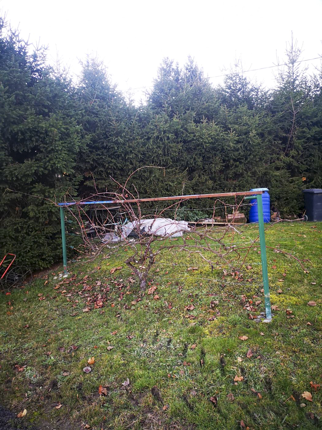 Ligne Maginot - W1 - (Chambre de coupure) - La chambre de coupure a aujourd'hui disparu, ensevelie. Elle se trouve au bout d'un jardin, dans une propriété privée.

On distingue encore la forme de la chambre sur le terrain.
Photo faite avec l'autorisation de la propriétaire. - DK_Antoine