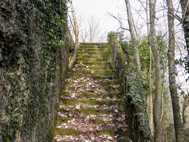 Ligne Maginot - ROHRBACH - (Camp de sureté) -  - Christian LENHARD