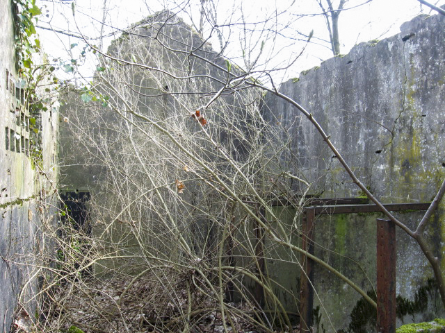 Ligne Maginot - ROHRBACH - (Camp de sureté) -  - Christian LENHARD