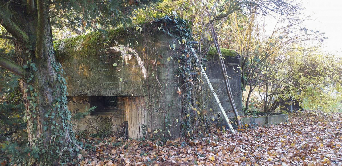 Ligne Maginot - 32 - WOLFSCHIESS SUD - (Blockhaus pour arme infanterie) - Créneau sud - Gregory Fuchs