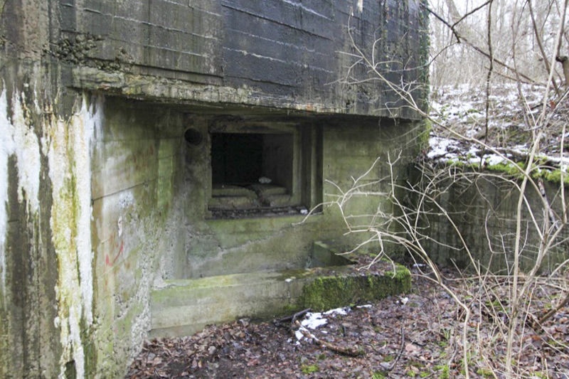 Ligne Maginot - 34 - THALERKOPF - (Casemate d'infanterie - Simple) - L'embrasure nord - Les Gardiens du Rhin