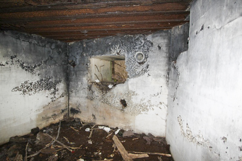 Ligne Maginot - 34 - THALERKOPF - (Casemate d'infanterie - Simple) - L'embrasure sud - Les Gardiens du Rhin