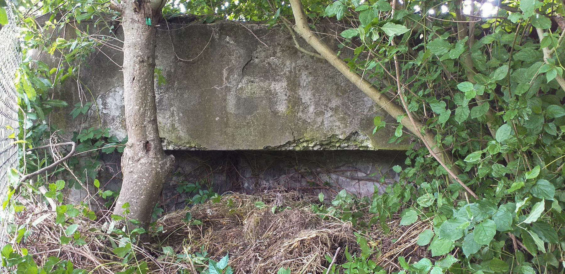 Ligne Maginot - 39 - BASSIN AUBERGER - (Blockhaus pour arme infanterie) - Créneau (muré) - G.Fuchs