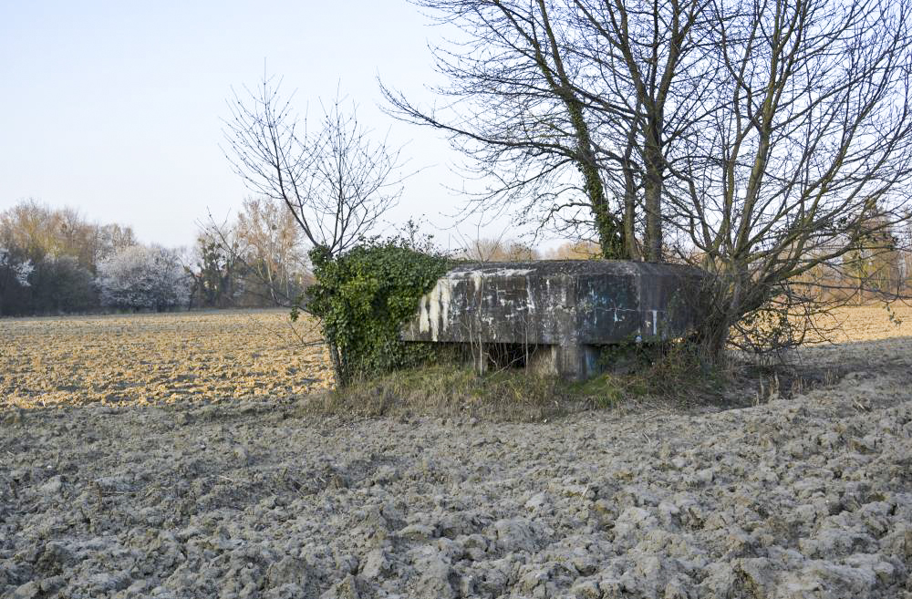 Ligne Maginot - 50 - BUSSIERE OUEST 1 - (Blockhaus pour arme infanterie) -  - LAMBERT Pascal